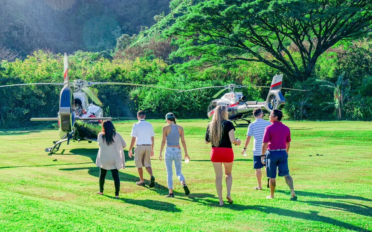 A Maui helicopter tour landing in the Hana rainforest, filmed from the cabin