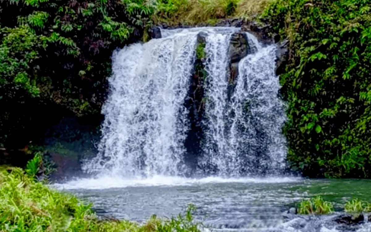 A waterfall on the windward side of East Maui